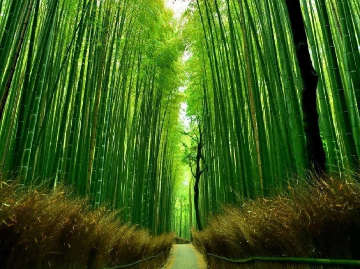 行灯離れ京都五条 Andon Hanare Kyoto Gojo Esterno foto